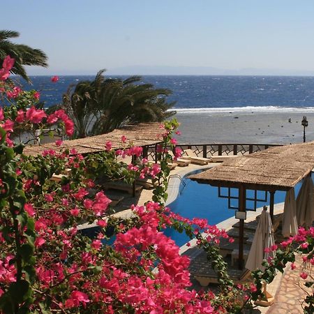 Nesima Resort ダハブ エクステリア 写真