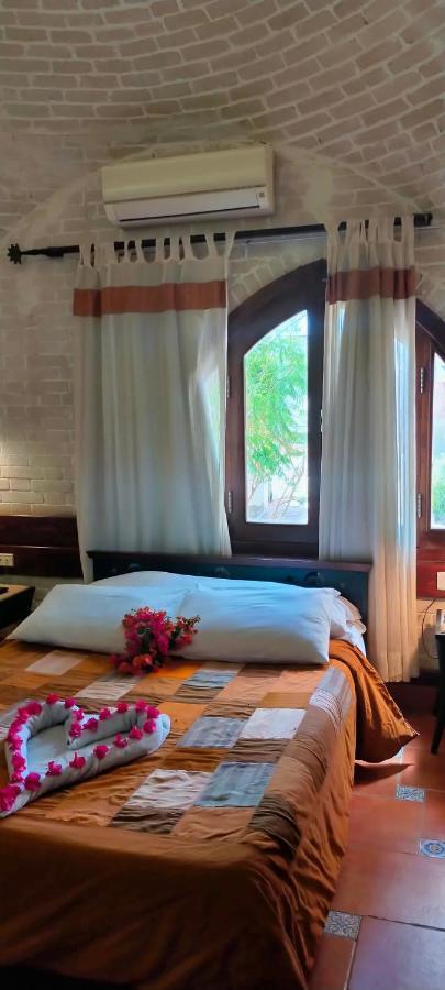 Nesima Resort ダハブ エクステリア 写真