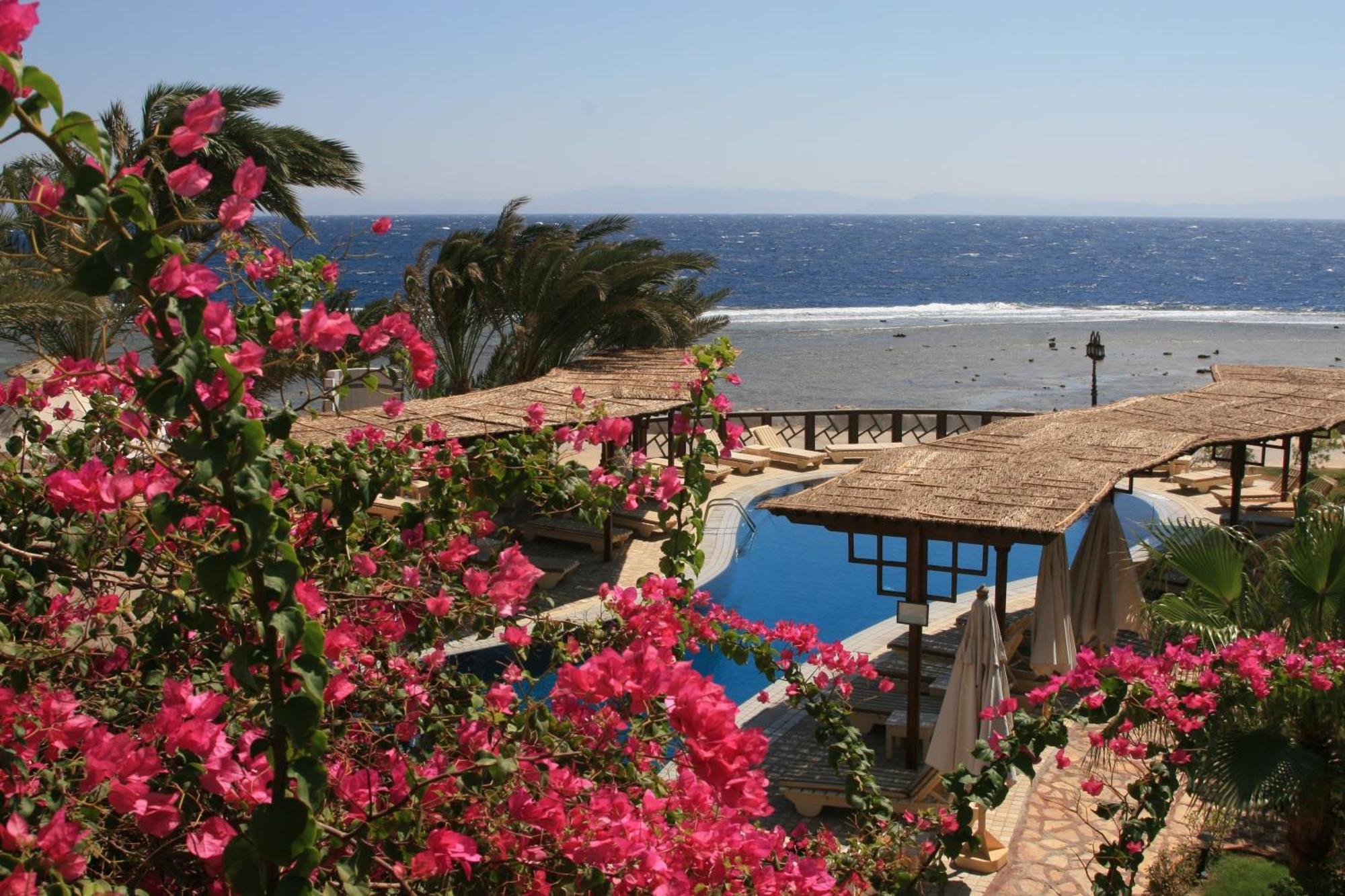 Nesima Resort ダハブ エクステリア 写真